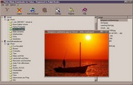 Photo Album Downloader for Yahoo screenshot